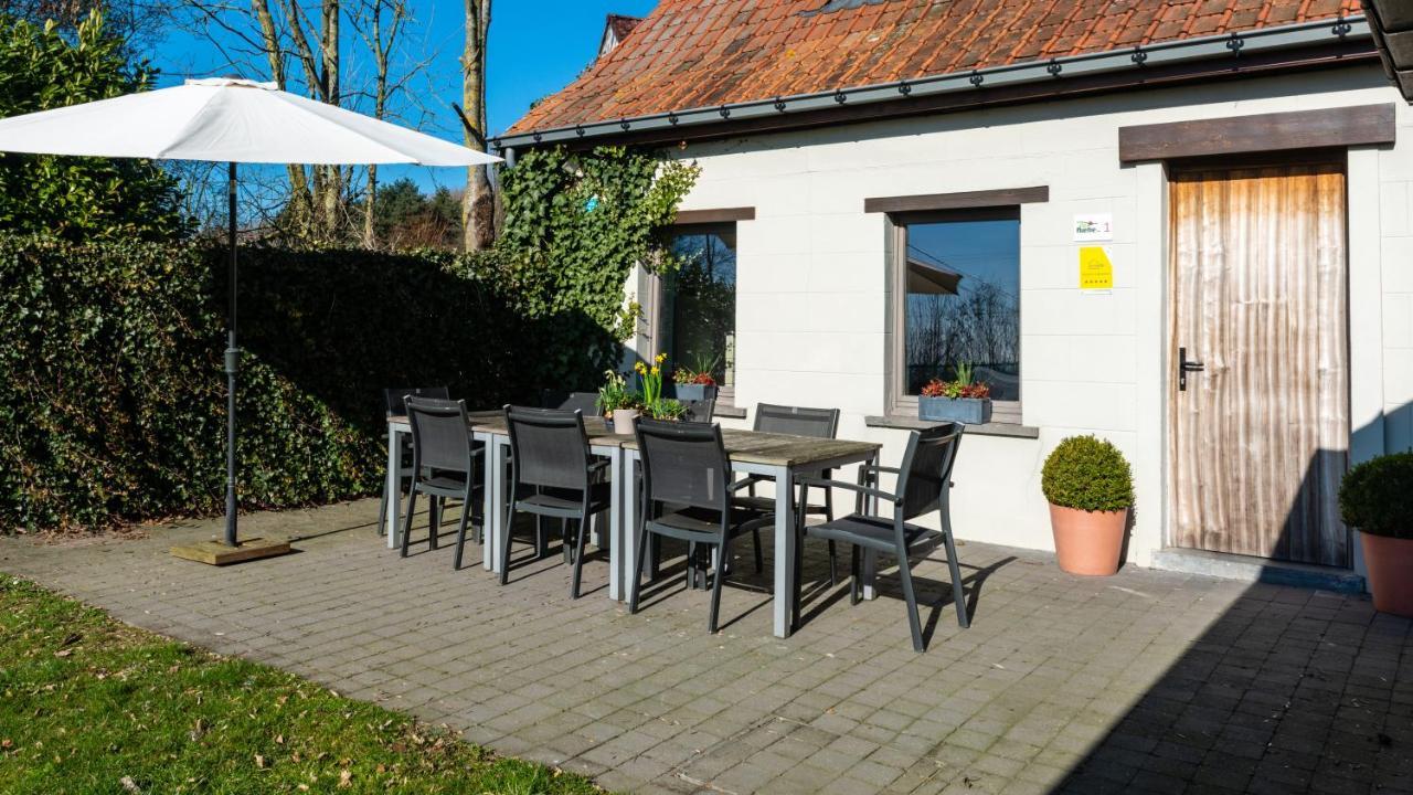 Vakantiehuis De Rieke 16 Personen Ronse Ngoại thất bức ảnh